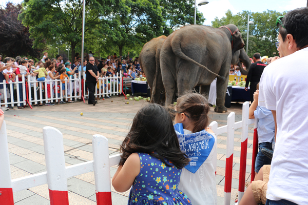 11-elefantes_circo_mundial-aste_nagusia_2015-hotel_melia_bilbao