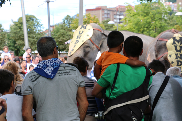 17-elefantes_circo_mundial-aste_nagusia_2015-hotel_melia_bilbao