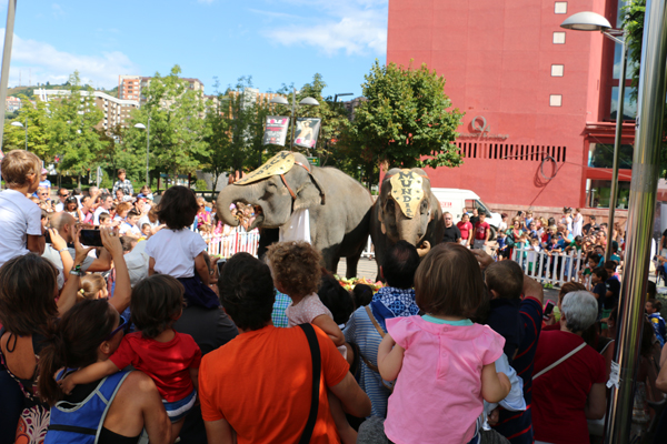 19-elefantes_circo_mundial-aste_nagusia_2015-hotel_melia_bilbao