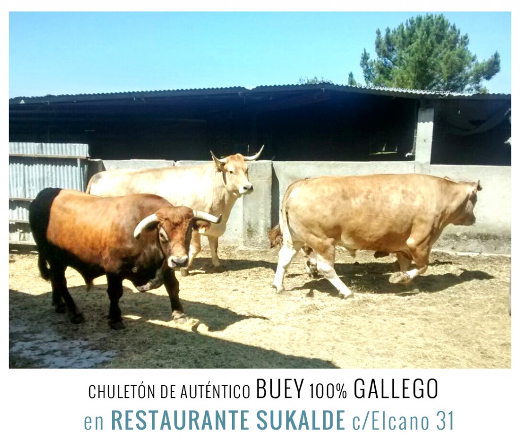 restaurante sukalde buey gallego bilbao