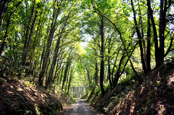 Vía Verde Galdames Bizkaia