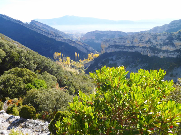 valderejo parque natural