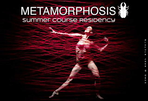 metamorfosis baile planes verano guggenheim