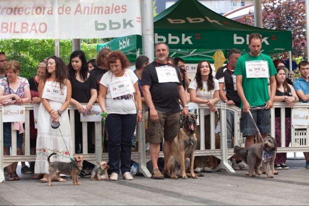 concurso fotografico perros y gatos bilbao