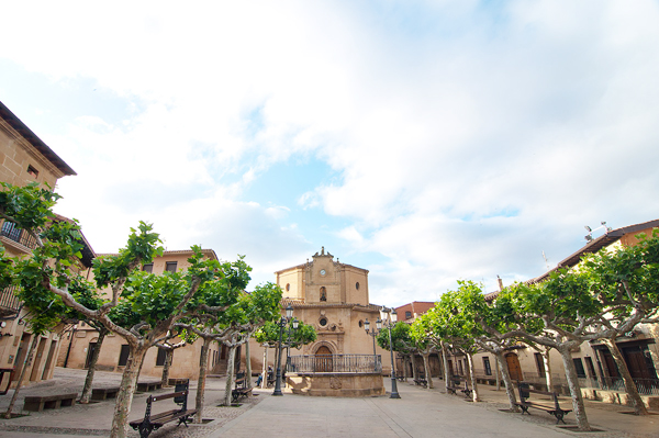 elciego planes bodegas