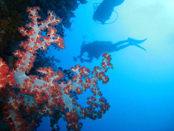 Buceo Submarinismo Bizkaia