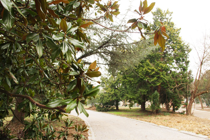 parque munoa planes