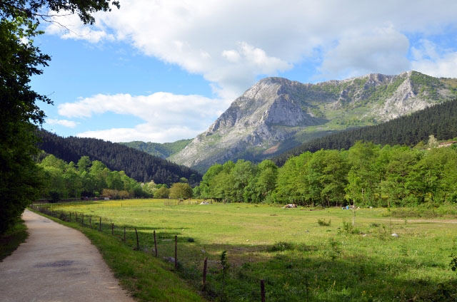 via verde arrazola