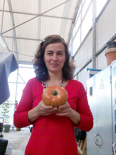 tomates naturales huerta bilbao