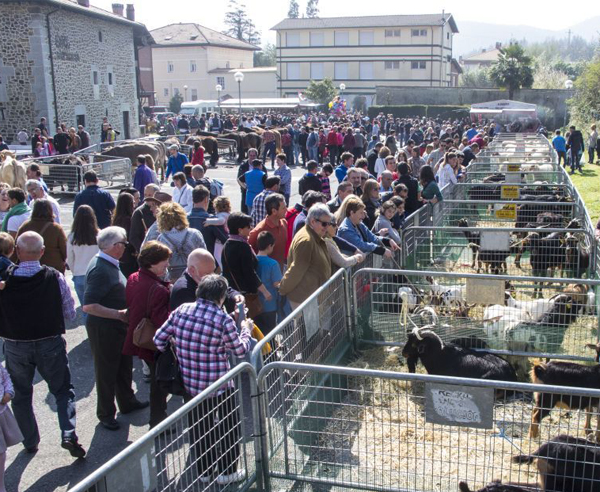 feria san jose guenes planes