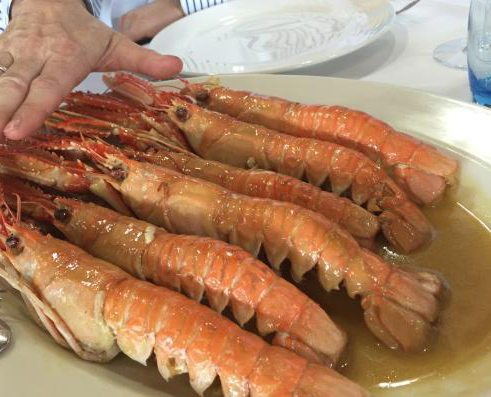 mejor marisco parrilas mar